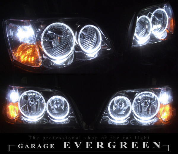 105 　極上発色　親株　レッドタイプ　Evolution Group　【Ashwood】株分け iso 6号 沖縄 びんがた（紅型）染物絵画 遺品整理品